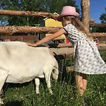 Vakantieboerderij Wypoczynek Na Mazurach U Sebka