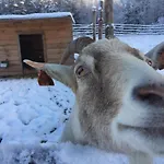 Κατάλυμα σε φάρμα Wypoczynek Na Mazurach U Sebka *