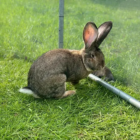 Wypoczynek Na Mazurach U Sebka Bauernhof Łukta