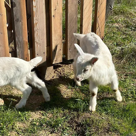 Wypoczynek Na Mazurach U Sebka