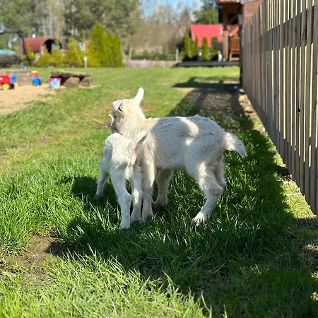 Farm stay Wypoczynek Na Mazurach U Sebka Lukta