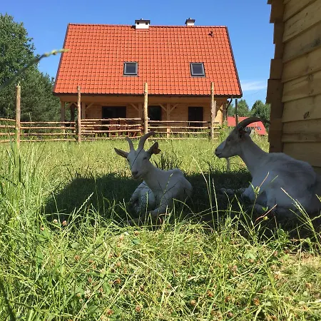 Farm stay Wypoczynek Na Mazurach U Sebka