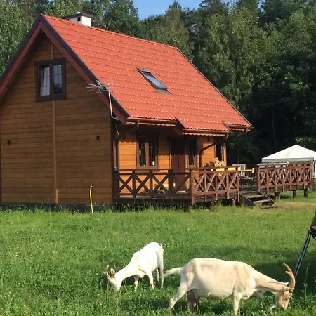 Wypoczynek Na Mazurach U Sebka Bauernhof Łukta