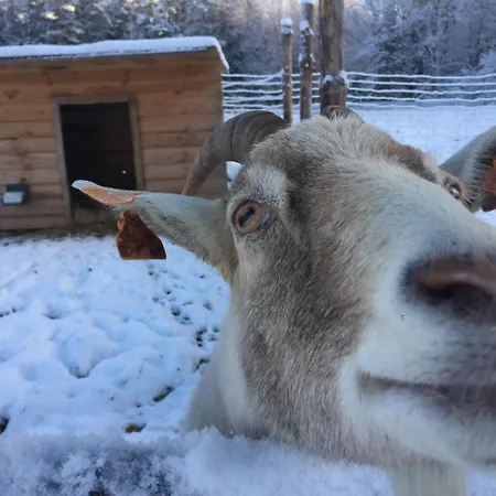 Farm stay Wypoczynek Na Mazurach U Sebka *